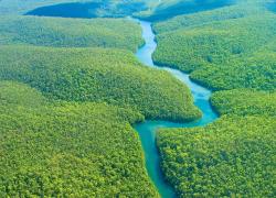 Австралия высадит 1 миллиард деревьев. Легким планеты будет легче и нашим тоже