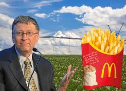 Билл Гейтс скупает земли через 