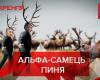 Російські олені намагаються сфабрикувати докази трагедії в Оленівці, але заважають роги, які стирчать із брехні