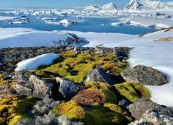 Він зігрів Антарктиду, захищаючи її життя, а росія його зненавиділа і кинула за ґрати