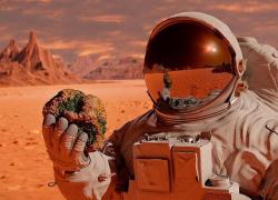 Голова МЗС Польщі 