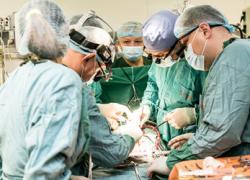 В Нидерландах вводят автоматическое согласие на донорство органов после смерти