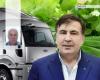В фургоне из-под укропа. Как Саакашвили совершал прорыв в Грузию и почему его там никто не узнал
