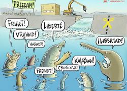 Кто, если не мы? Голландцы услышали 