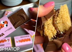 Їжте самі ваших хробаків: чи лічать українцям китайські личинки в шоколаді?