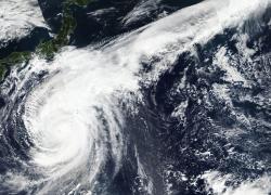 Японский тайфун 