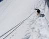 Місцевий пес з Гімалаїв підкорив гору висотою понад 7 тисяч метрів як справжній альпініст (фоторепортаж)