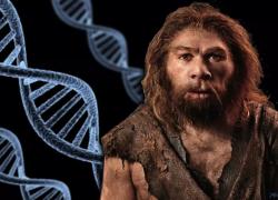 Эпидемия коронавируса ... 20 тысяч лет назад. Это уже проходил человек. Так где иммунитет?