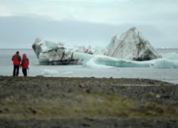 Таяние ледников в Арктике вызвало озеленение территории
