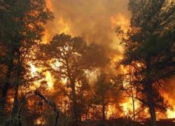 У Криму загорівся природний заповідник