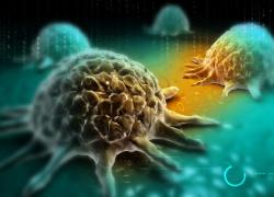 Медики представили метод, который может навсегда усыпить раковые клетки