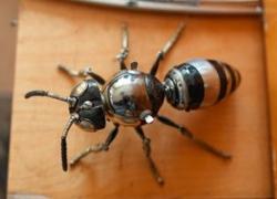 Роботизация: пчелы в США станут металлическими