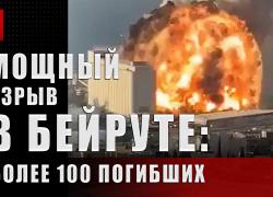 Факты не врут: задержан российский бизнесмен, подозреваемый в подрыве порта Бейрут