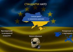 Стандарти НАТО українському солдату: Верховна Рада зробила перший крок