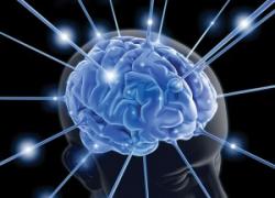 Ученые смогли перепрограммировать нейроны мозга