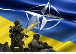 НАТО для України це справедлива ціль, а не подарунок чи панацея