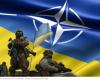 НАТО для України це справедлива ціль, а не подарунок чи панацея