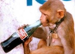 Coca-Cola  начнет выпускать алкогольные напитки