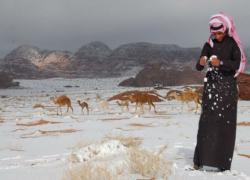 Пустыню Сахара замело снегом